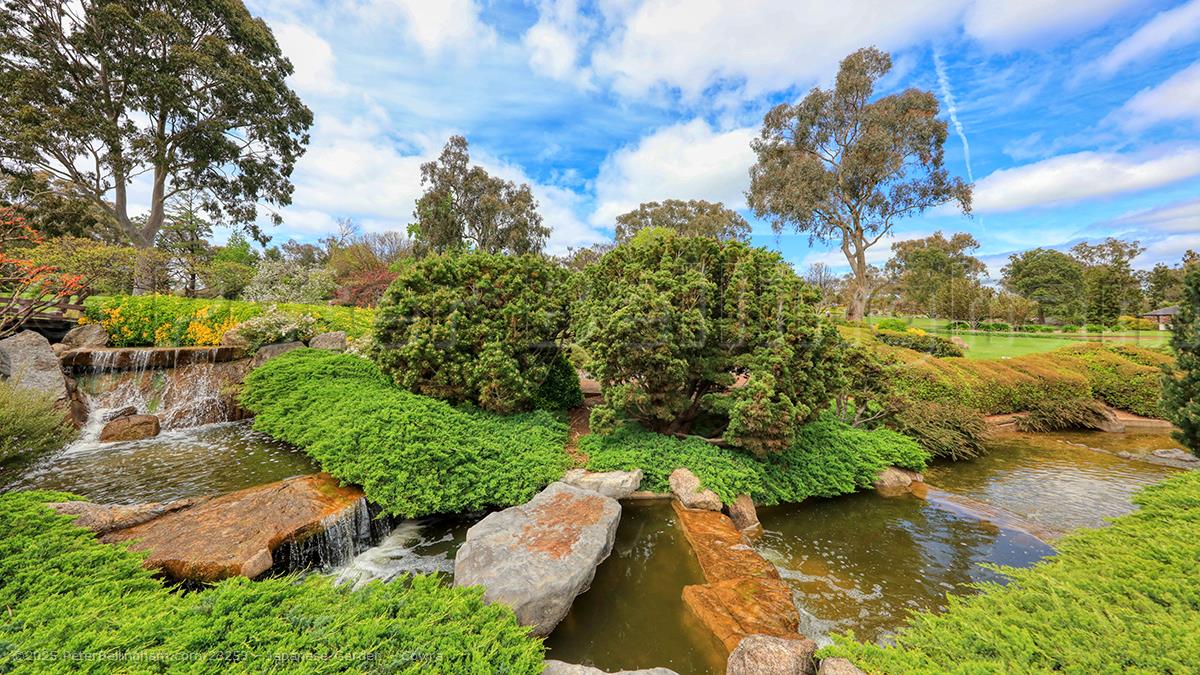 Peter Bellingham Photography Japanese Garden - Cowra